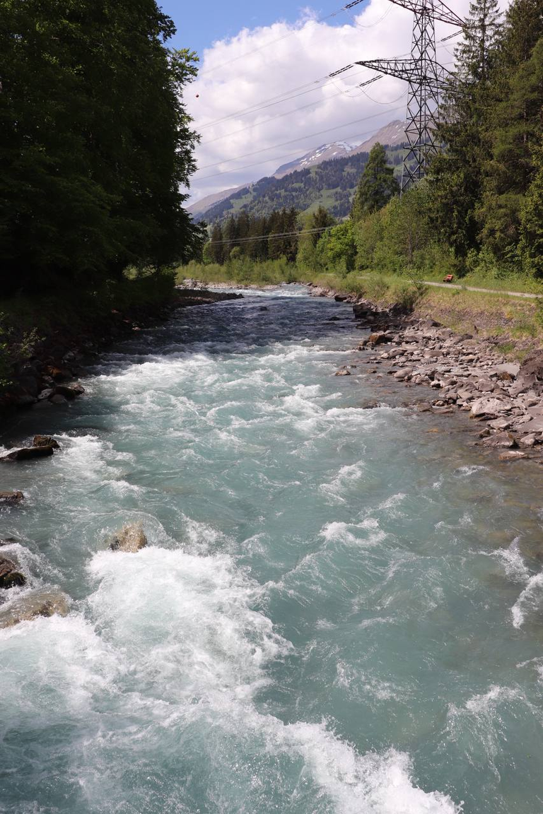 Fluss mit Tannen daneben